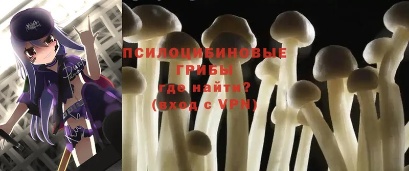 МЕГА сайт  Ворсма  Галлюциногенные грибы Magic Shrooms 